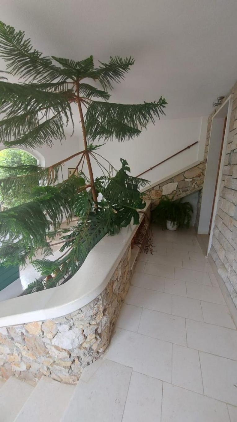 Apartment Brane Bol Zewnętrze zdjęcie