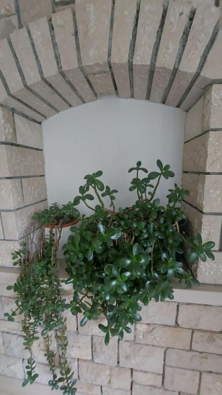 Apartment Brane Bol Zewnętrze zdjęcie